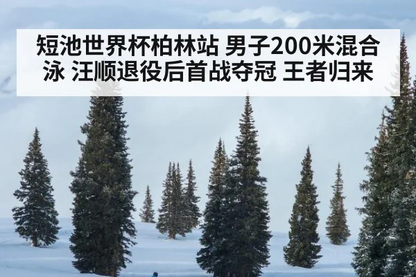 短池世界杯柏林站 男子200米混合泳 汪顺退役后首战夺冠 王者归来